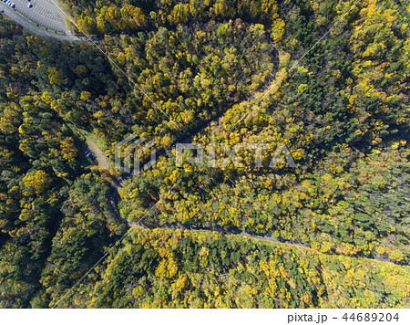 紅葉した森と道路(空撮 真俯瞰) 紅葉した森と道路(空撮 真俯瞰) 44689204