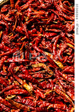 red red 44690010