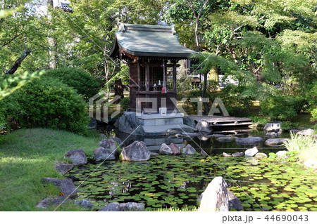 広隆寺境内 44690043