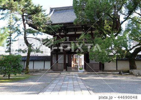 広隆寺桜門 44690048