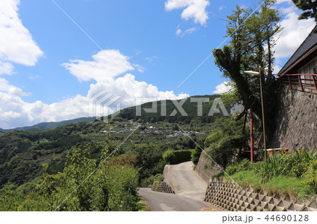 和歌山　山間部　 44690128