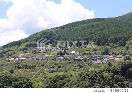 和歌山　山間部　 44690131