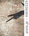 Finger shadow 44690329