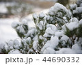 snow 44690332