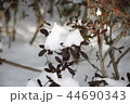 snow 44690343
