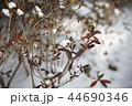 snow 44690346