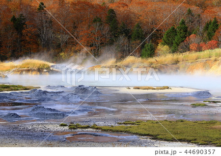 紅葉の八幡平 紅葉の八幡平 44690357