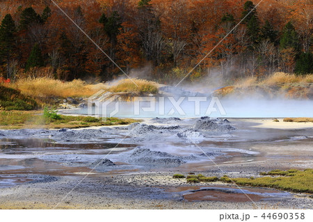 紅葉の八幡平 44690358