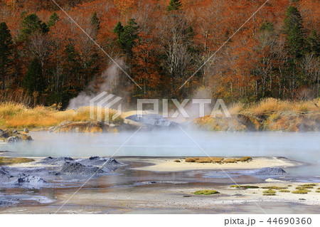 紅葉の八幡平 44690360