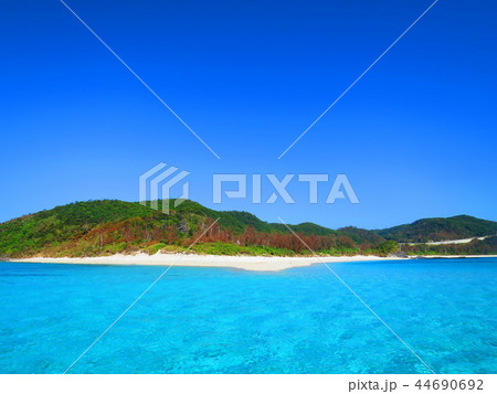 沖縄　座間味島　海　ビーチ　風景 44690692