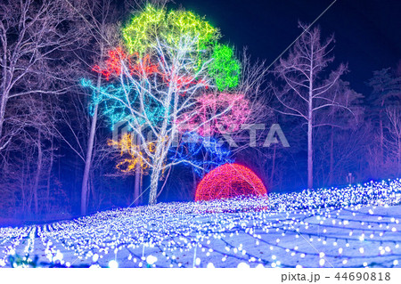 イルミネーション　国営アルプスあづみの公園 44690818