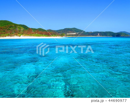 沖縄　座間味島　海　ビーチ　風景 44690977