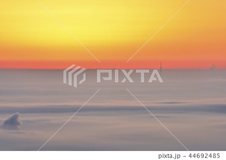 東京遠望　雲海と朝焼けにスカイツリー 44692485