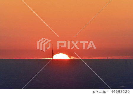 東京遠望　朝焼けに日の出とスカイツリー 44692520