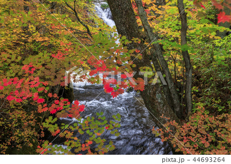 日光 竜頭ノ滝 日光 竜頭ノ滝 44693264