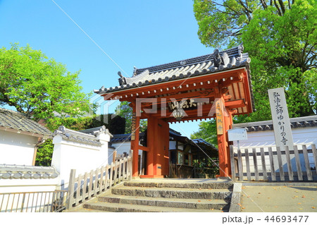 大慈山 乙訓寺 大慈山 乙訓寺 44693477