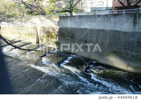 神田川の魚道 東京都 神田川の魚道 東京都 44694618