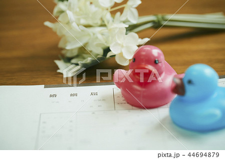 婚姻届 書類 区役所 44694879