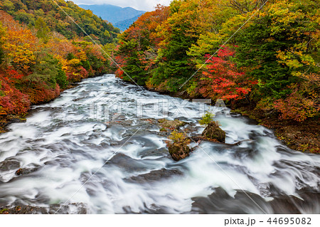 日光の紅葉 滝上から見る竜頭の滝  湯川　b-1 右岸寄り 広角 44695082