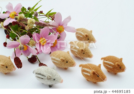 ウリボウとブーケ 44695185