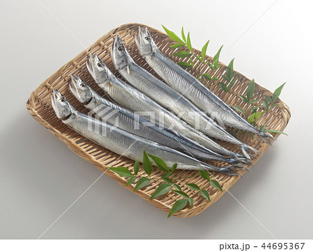 さんまの丸干しの写真素材