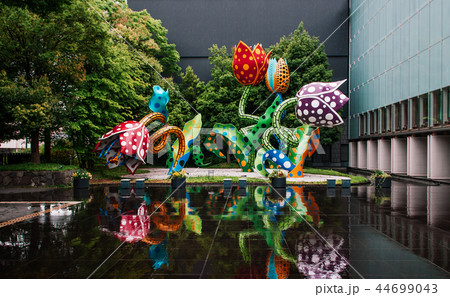 Yayoi Kusama - visionary flowers - Matsumoto Art 44699043