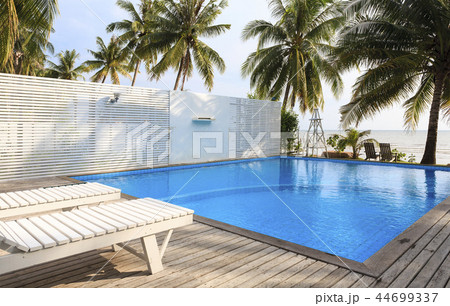 Blue swimming pool with coconut tree. 44699337