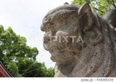 住吉大社の狛犬 44699339