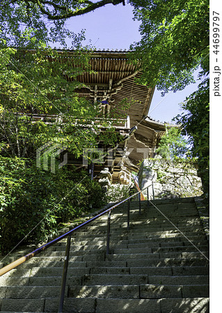 書写山圓教寺摩尼殿 44699797