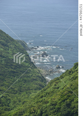 【長崎県　長崎市】野母崎の岬風景 44700151