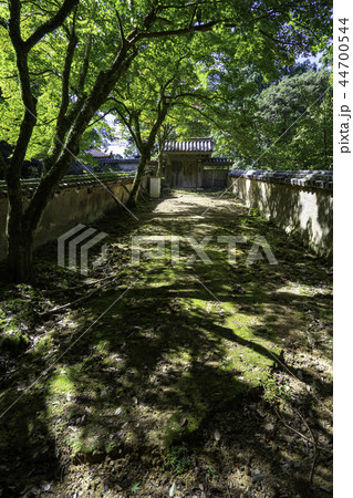 書写山圓教寺瑞光院 書写山圓教寺瑞光院 44700544