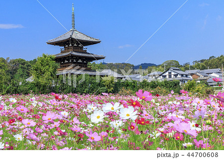 法起寺 44700608