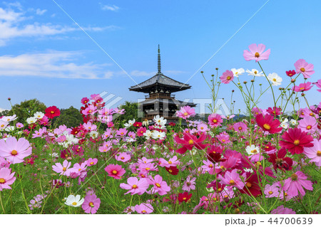 法起寺 44700639