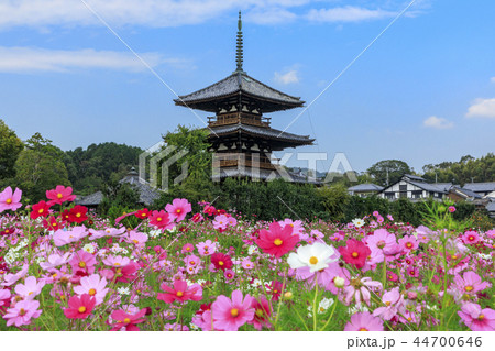 法起寺 法起寺 44700646