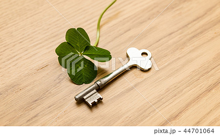 よつば　クローバー 44701064