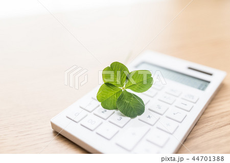 よつば クローバー よつば クローバー 44701388