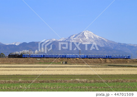 伊吹山を背にして走るSL北びわこ号 44701509