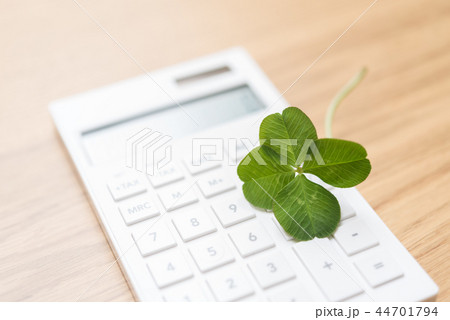 よつば　クローバー 44701794