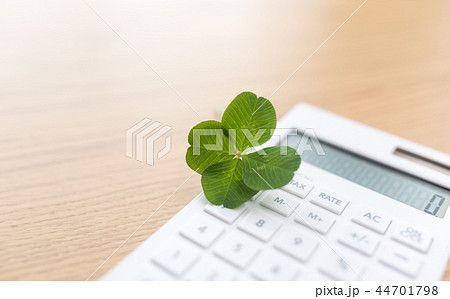 よつば　クローバー 44701798