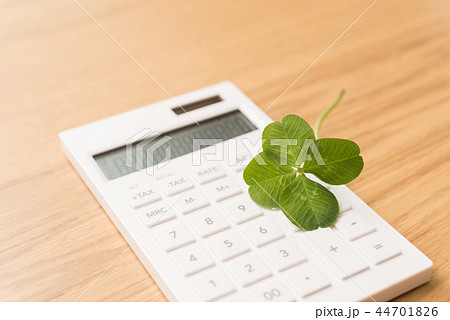 よつば　クローバー 44701826