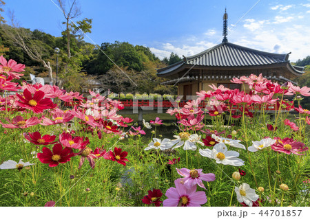 安倍文殊院 安倍文殊院 44701857