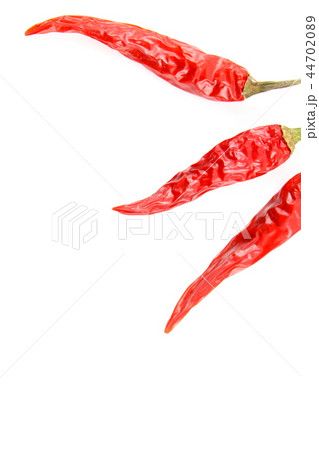dried thai chili peppers isolated white copy space dried thai chili peppers isolated white copy space 44702089