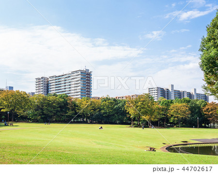 住宅街の公園 住宅街の公園 44702617