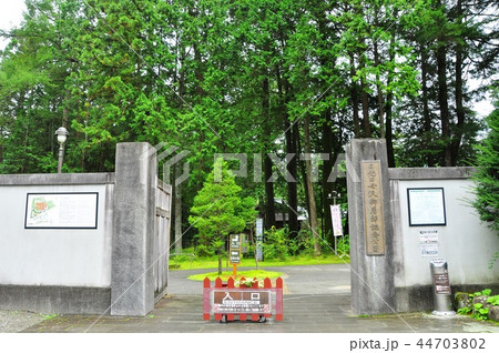 日光田母沢御用邸記念公園の国道側門 日光田母沢御用邸記念公園の国道側門 44703802