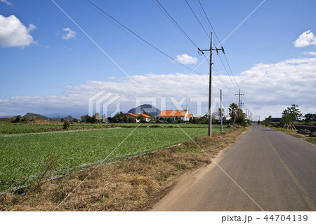 畑 農業 済州 44704139