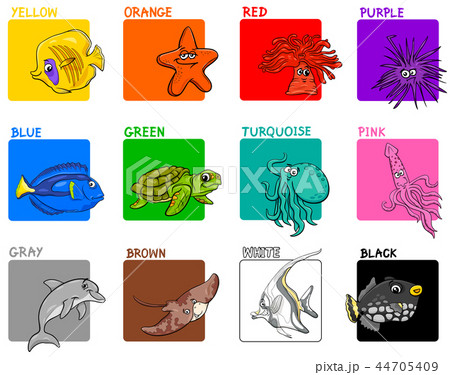 basic colors educational set with sea animals - Stock Illustration  [44705409] - PIXTA