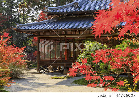 京都・南禅寺・秋の天授庵 京都・南禅寺・秋の天授庵 44706007