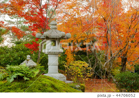 日本京都の紅葉と庭園 日本京都の紅葉と庭園 44706052