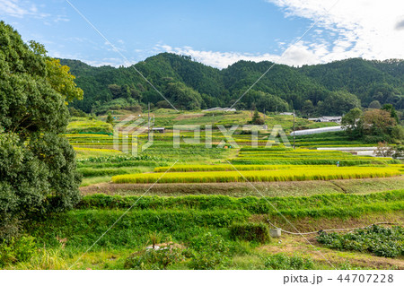 明日香村の田園風景 明日香村の田園風景 44707228