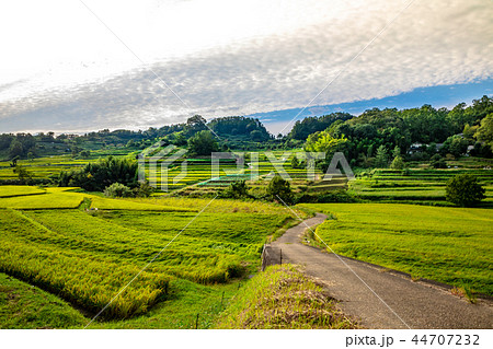 明日香村 稲淵地区の棚田  44707232